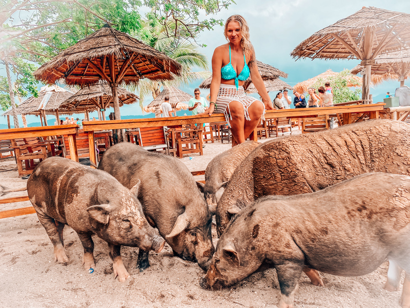 Pig Island bei Koh Samui