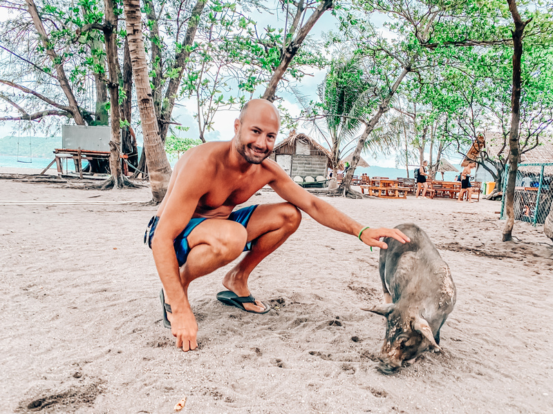 Pig Island bei Koh Samui